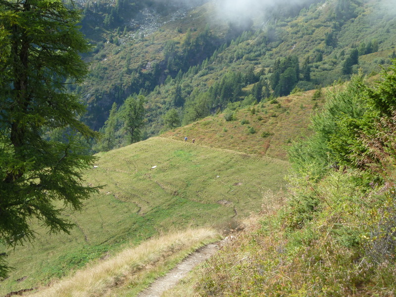 France Alps Mt Blanc Area, Tour of Mt Blanc , On contour path below Alp Bovine, Walkopedia