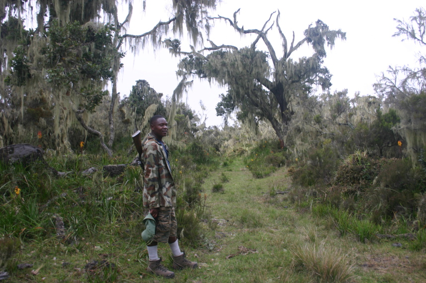 Tanzania, Mt Meru, , Walkopedia