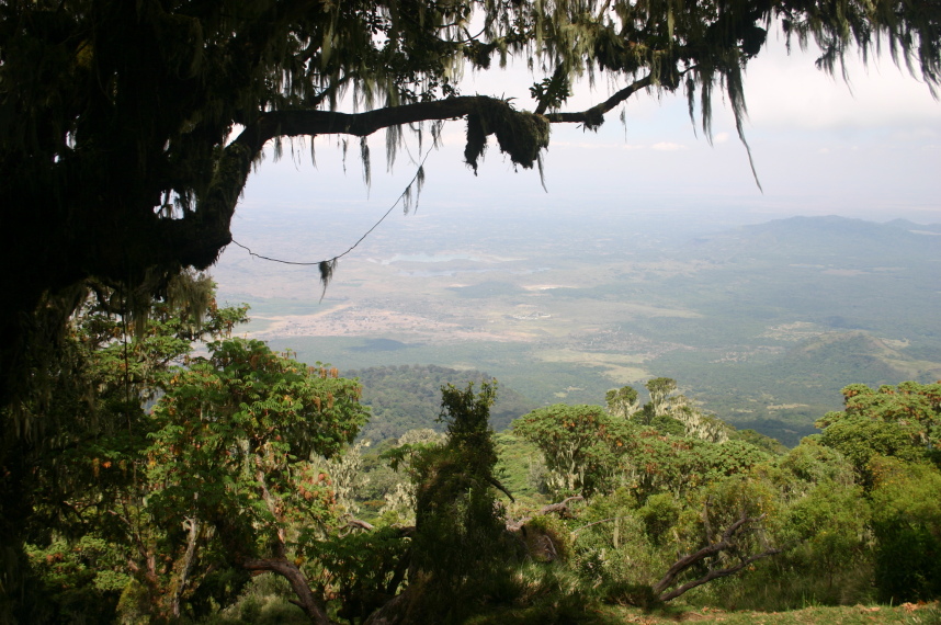 Tanzania, Mt Meru, , Walkopedia