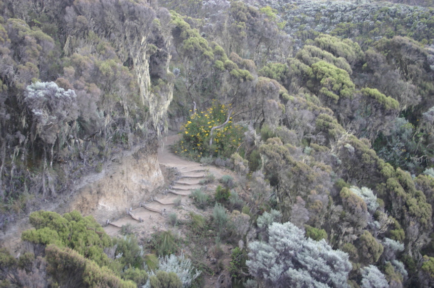 Tanzania, Mt Meru, , Walkopedia