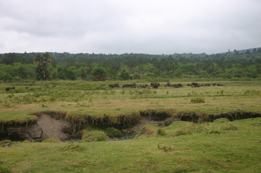 Tanzania, Mt Meru, , Walkopedia