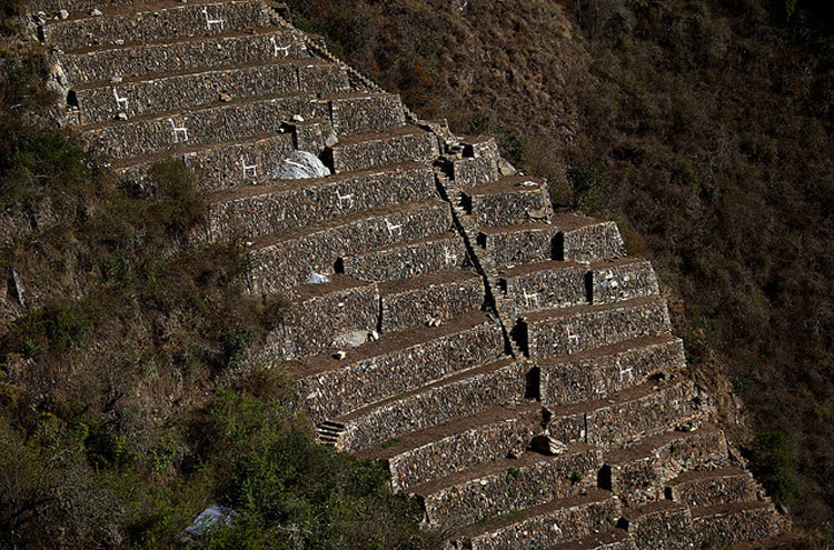 Peru Cuzco/Inca Heartlands Area, Inca Path to Choquequirao, White Llama Terraces - © From Flickr user Roubicek, Walkopedia