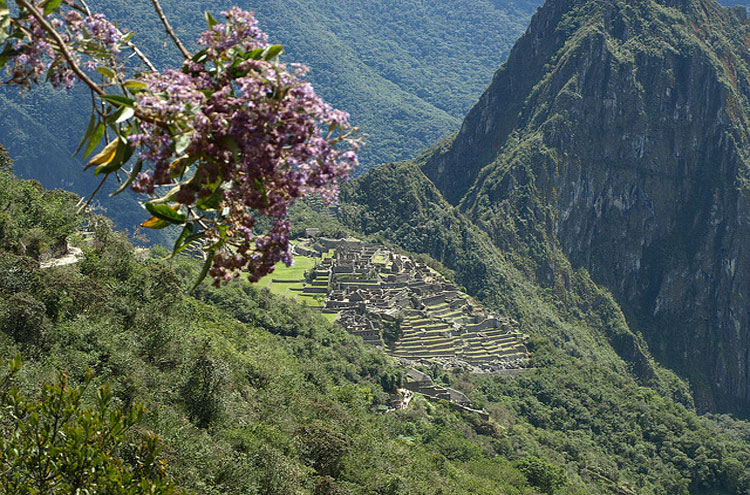 Peru Cuzco/Inca Heartlands Area, Inca Trail Hikes, View of Machu Pichu, Walkopedia