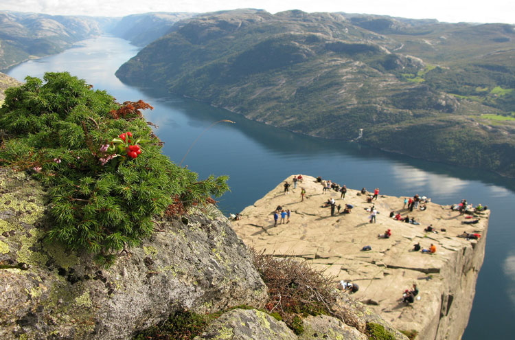 Norway South-west Fjords, Preikestolen, Preikestolen - © From Flickr user Leo_Seta, Walkopedia