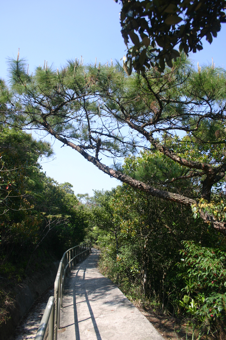 China Hong Kong, Over and Around Mt Violet, Along the storm drain, Walkopedia