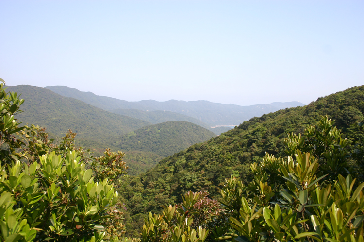 China Hong Kong, Over and Around Mt Violet, Along the storm drain, Walkopedia