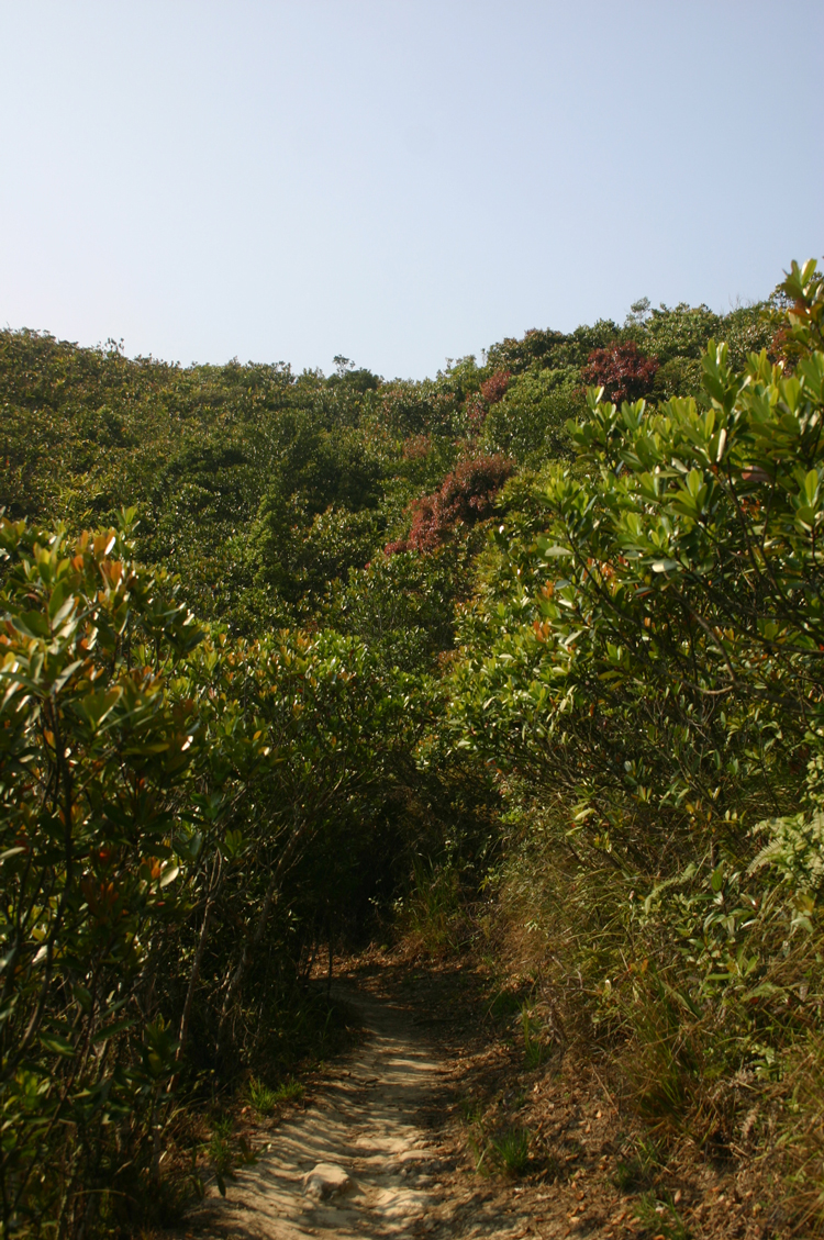 China Hong Kong, Over and Around Mt Violet, , Walkopedia