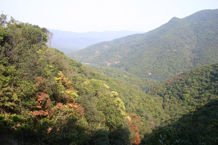 China Hong Kong, Over and Around Mt Violet, From the upper storm drain, Walkopedia