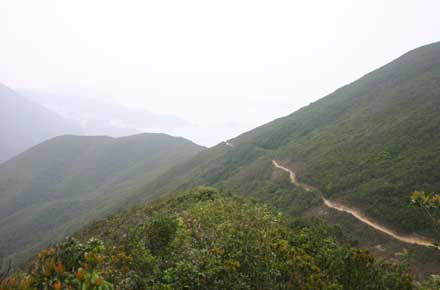 China Hong Kong, Over and Around Mt Violet, Middle slopes, misty day, Walkopedia