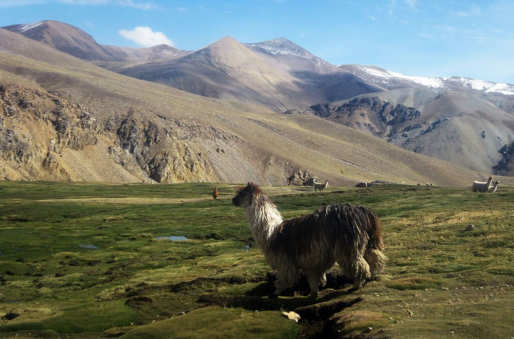 Cotahuasi Canyon
Arequipa Cotahuasi - © From Flickr user Xtremizta