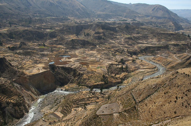 Peru South Arequipa Area, Colca Canyon, Colca Canyon, Inca Terraces, From Flickr user Gudi and Chris, Walkopedia