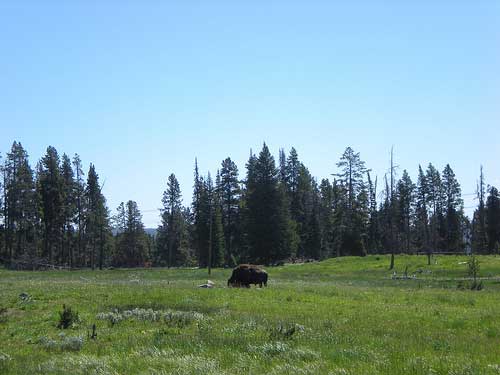 USA Western: Yellowstone NP, Yellowstone NP, Wyoming, Yellowstone NP - , Walkopedia