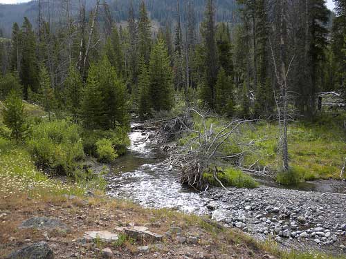 USA Western: Yellowstone NP, The Thorofare Trail, The Thorofare Trail - , Walkopedia