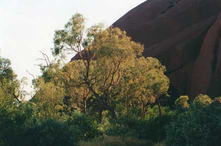 Australia Northern Territory, Uluru (Ayers Rock), Uluru, Ayers Rock - , Walkopedia