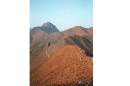 Buffalo Hill - © William Mackesy Buffalo Hill/Ma On Shan, Sai Kung: Buffalo Hill - © William Mackesy
