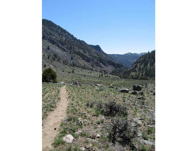 USA Western: Yellowstone NP, Black Canyon Trail, Black Canyon Trail - Black Canyon, Walkopedia