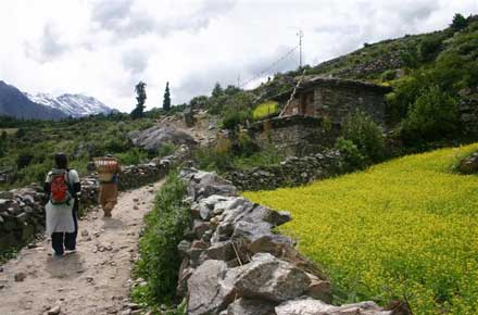 Nepal Western Nepal, Upper Humla Valley, Upper Humla Valley - , Walkopedia