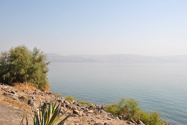 Israel, Jesus Trail, Jesus Trail - Sea of Galilee near Capernaum, Walkopedia