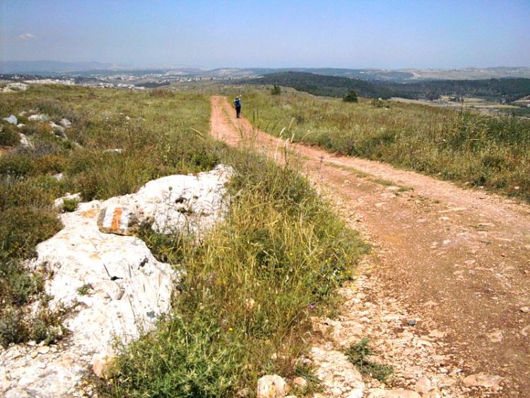 Israel, Jesus Trail, Jesus Trail - near Nazareth, Walkopedia