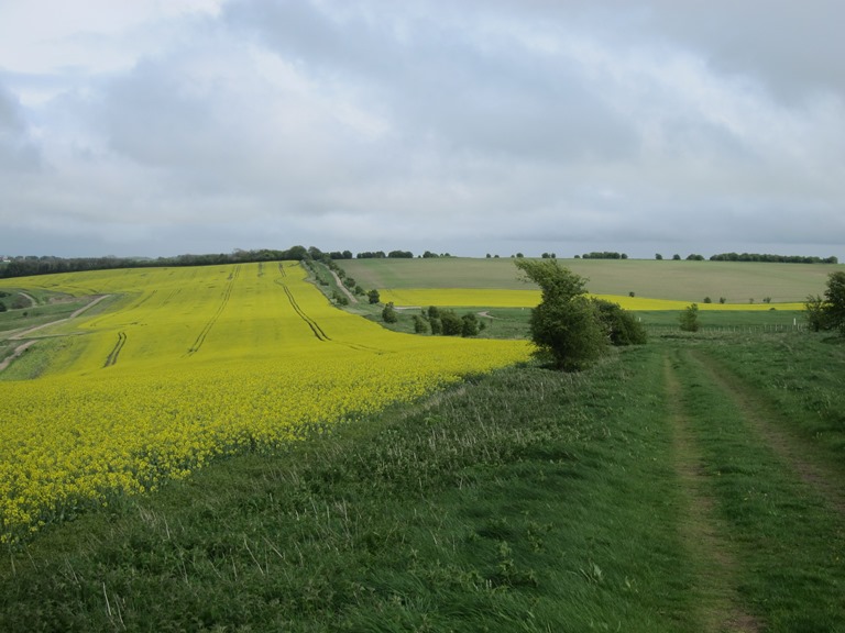 United Kingdom England, The Ridgeway, Above Devil's punchbowl, Walkopedia