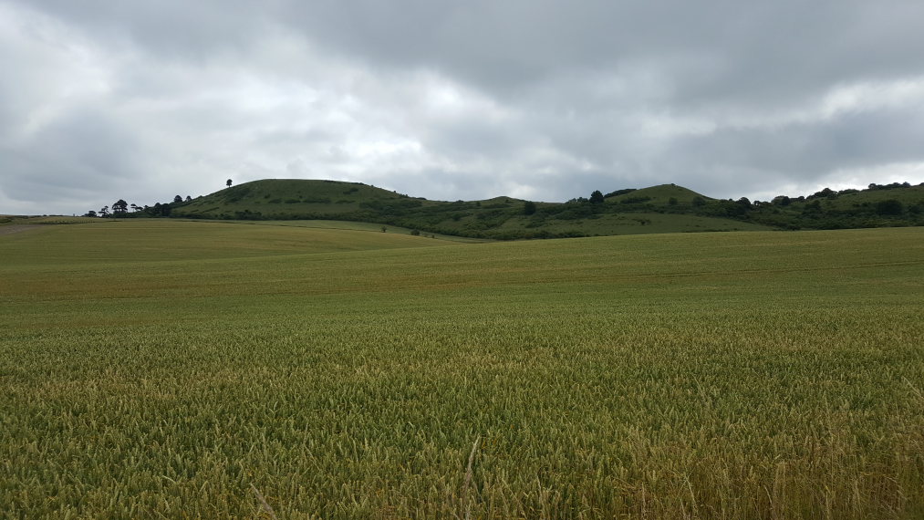 United Kingdom England, The Ridgeway, Ivinghoe Beacon from above the village, Walkopedia