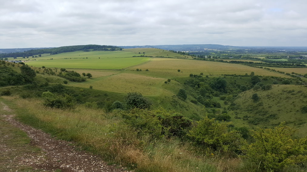 United Kingdom England, The Ridgeway, Lovely curve, Steps Hill, south of Ivinghoe Beacon, Walkopedia