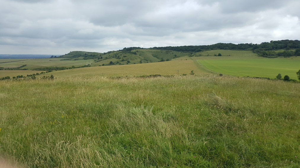 United Kingdom England, The Ridgeway, North to last ridge from Pitstone Hill, Walkopedia