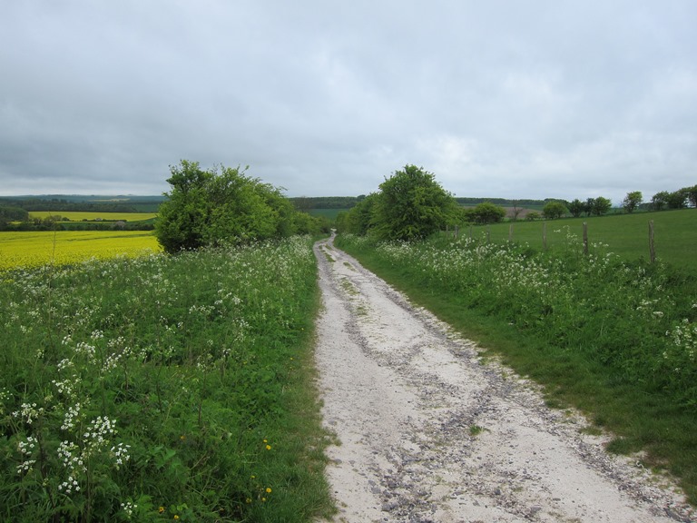 United Kingdom England, The Ridgeway, Getting chalky, East of Wayland's Smithy, Walkopedia