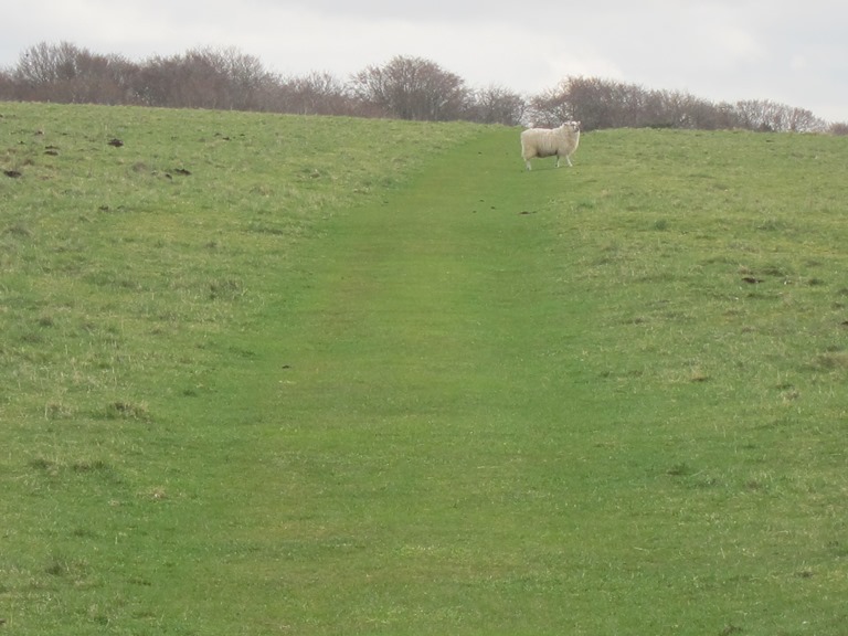 United Kingdom England, The Ridgeway,  Overton Down, Walkopedia