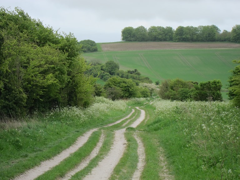 United Kingdom England, The Ridgeway,  Chalky and windy, Walkopedia