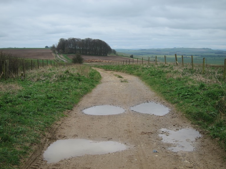 United Kingdom England, The Ridgeway,  Escarpment edge, Walkopedia