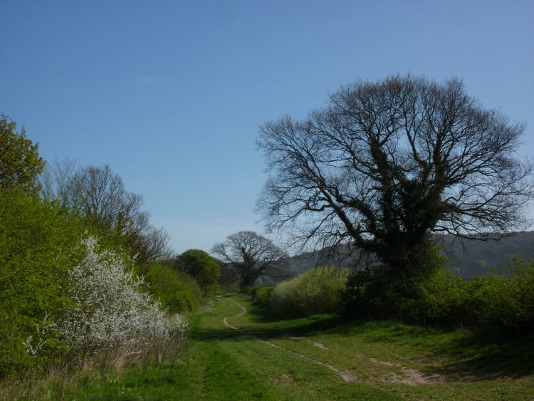 United Kingdom England, The Ridgeway, Grassy path near Kingston Blount, Walkopedia
