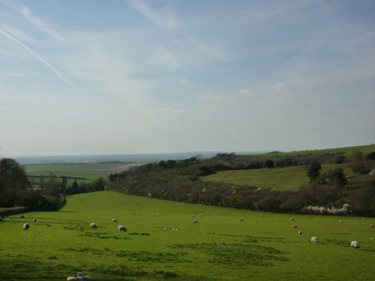 United Kingdom England, The Ridgeway, Near Swyncombe, Walkopedia