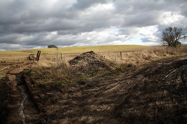 United Kingdom England, The Ridgeway, The Ridgeway, Walkopedia