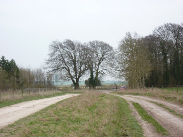 United Kingdom England, The Ridgeway,  Sparsholt Firs, Walkopedia