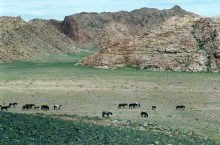 Mongolia, Altai Mountains, Altai Mts - , Walkopedia