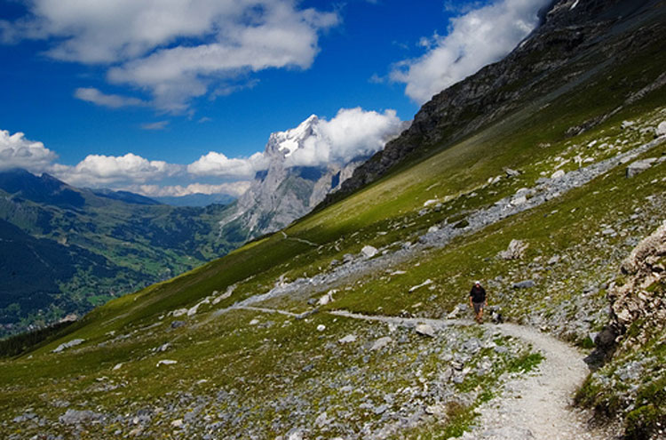 Eiger Trail: Eiger Trail - ©By Flickr user Maurits_Euro_Courier...