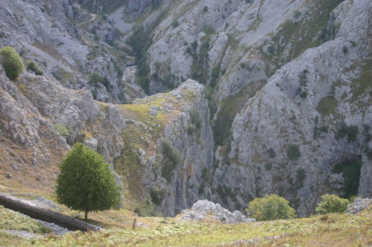 Spain NW Picos de Europa, Cares Gorge (Garganta del Cares), , Walkopedia