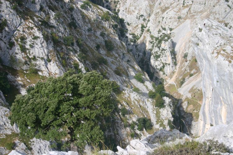 Spain NW Picos de Europa, Cares Gorge (Garganta del Cares), , Walkopedia