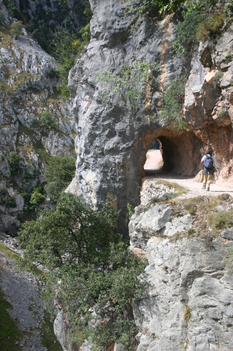 Spain NW Picos de Europa, Cares Gorge (Garganta del Cares), , Walkopedia