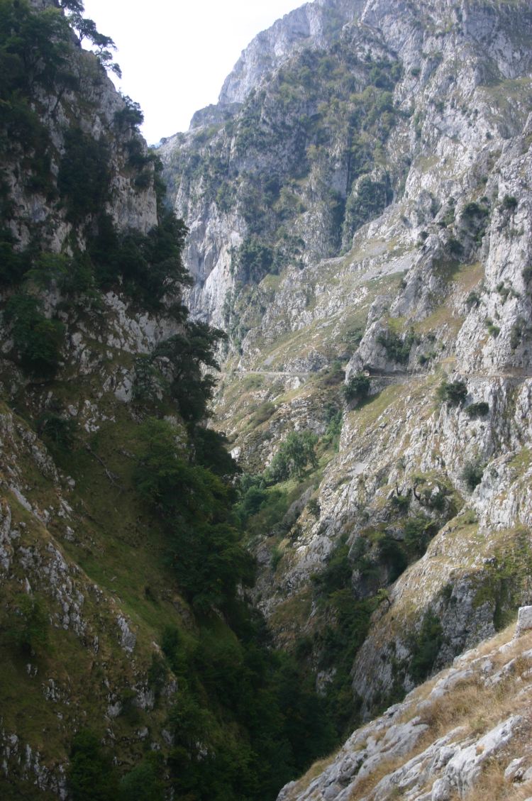 Spain NW Picos de Europa, Cares Gorge (Garganta del Cares), , Walkopedia