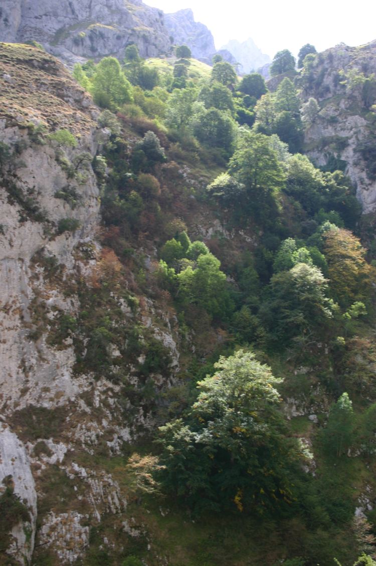 Spain NW Picos de Europa, Cares Gorge (Garganta del Cares), , Walkopedia