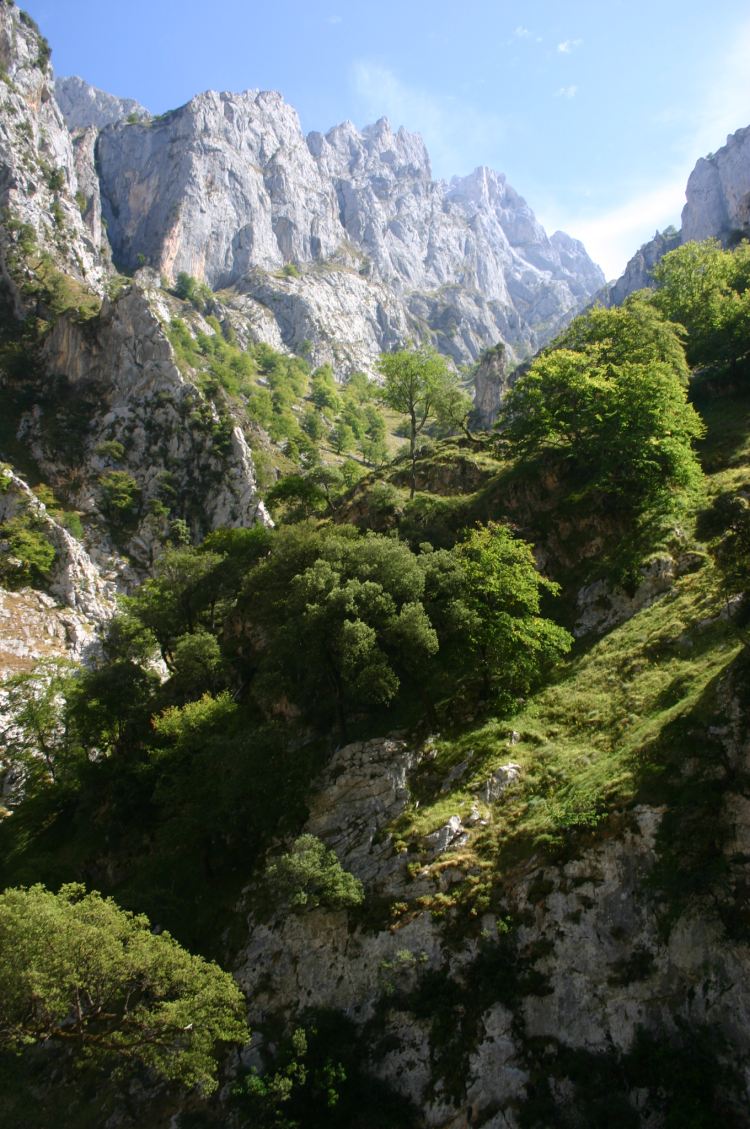 Spain NW Picos de Europa, Cares Gorge (Garganta del Cares), , Walkopedia