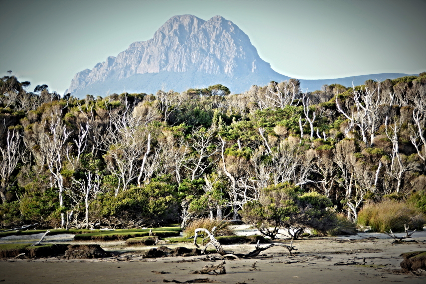 Australia Tasmania, South Coast Track, South Coast Track, Walkopedia