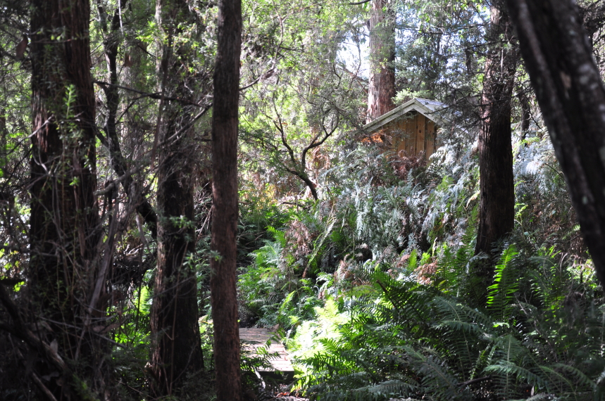 Australia Tasmania, South Coast Track, South Coast Track, Walkopedia