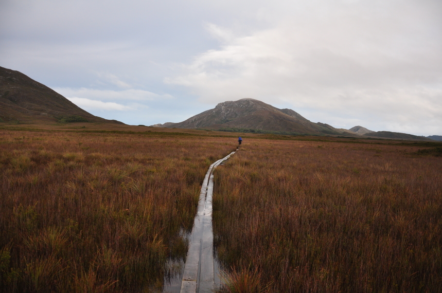 Australia Tasmania, South Coast Track, South Coast Track, Walkopedia