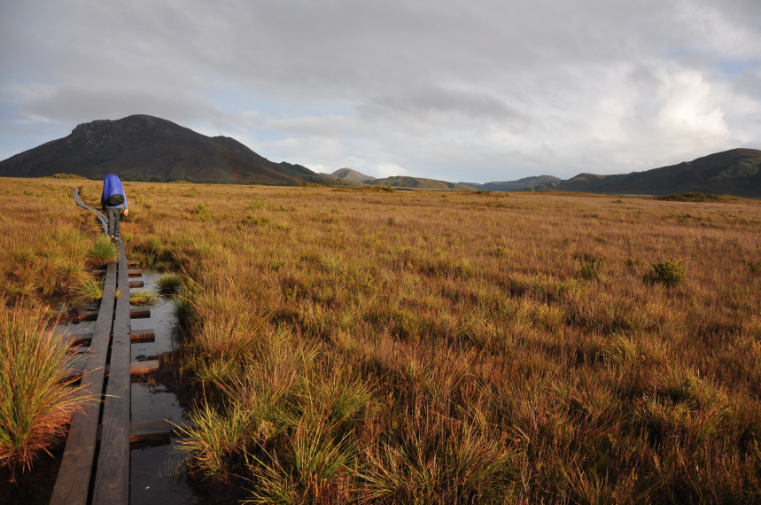 Australia Tasmania, South Coast Track, South Coast Track , Walkopedia