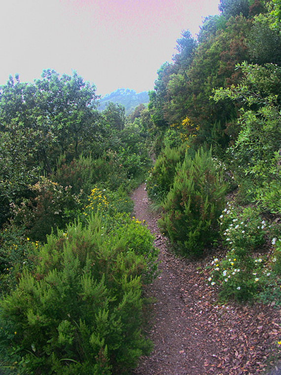 Italy Liguria, Cinque Terre, Cinque Terre - Sentiro Rosso, Walkopedia