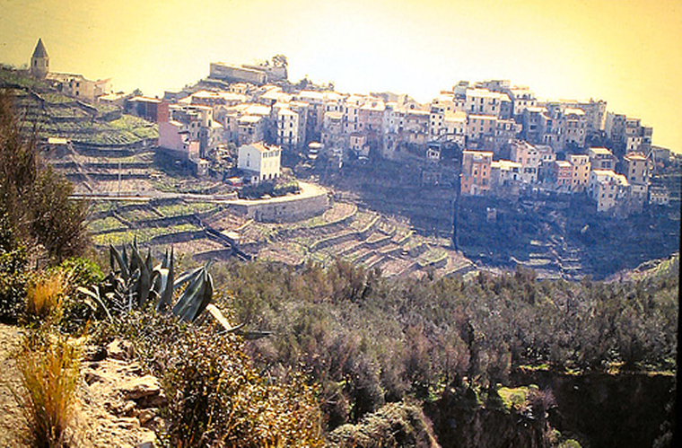 Italy Liguria, Cinque Terre, Cinque Terre -  Corniglia, Walkopedia