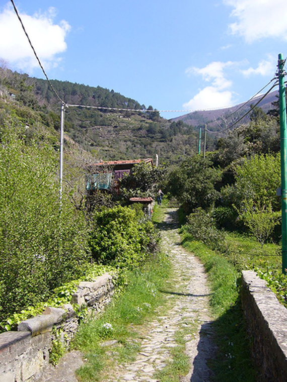 Italy Liguria, Cinque Terre, Cinque Terre - Footpath, Walkopedia